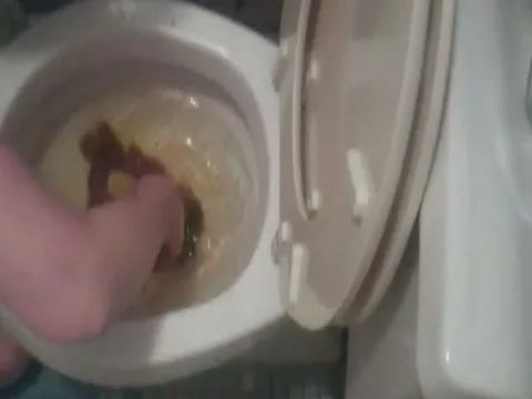 Dirty Potty Porn - Eating her shit from the toilet and loving it dirty scat